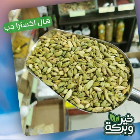 هال اكسترا حب