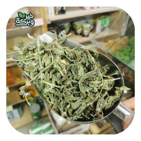 عشبة الهندباء البرية