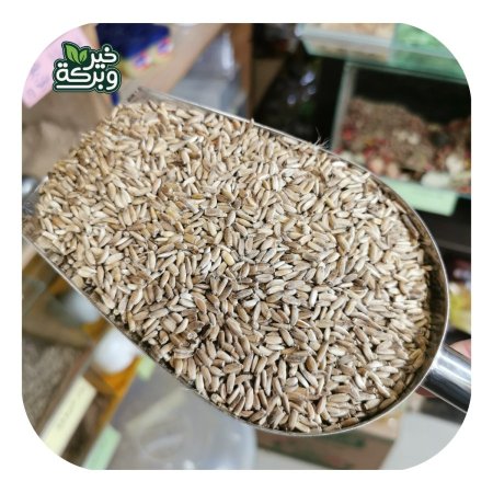 شوك الجمل