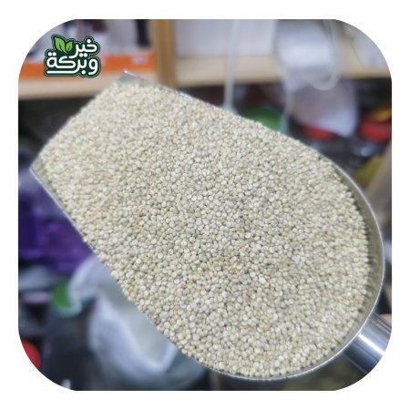 كينوا بيضاء