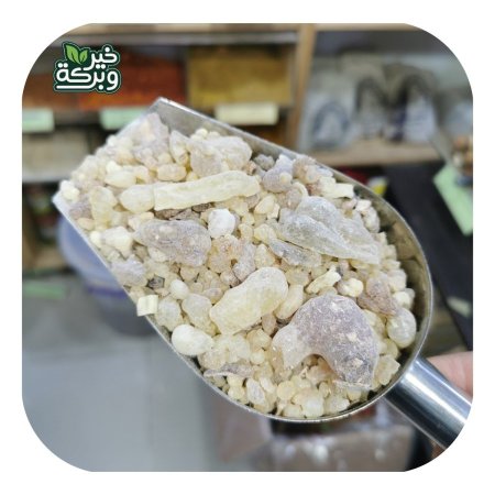 لبان الذكر حب كبير